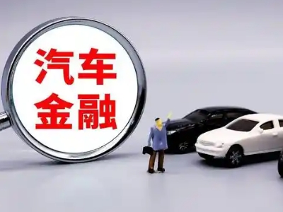 金山押车贷款不是本人可以么?